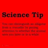 Crocodile Alligator Funny Science Tip Santa Hat thumb 1