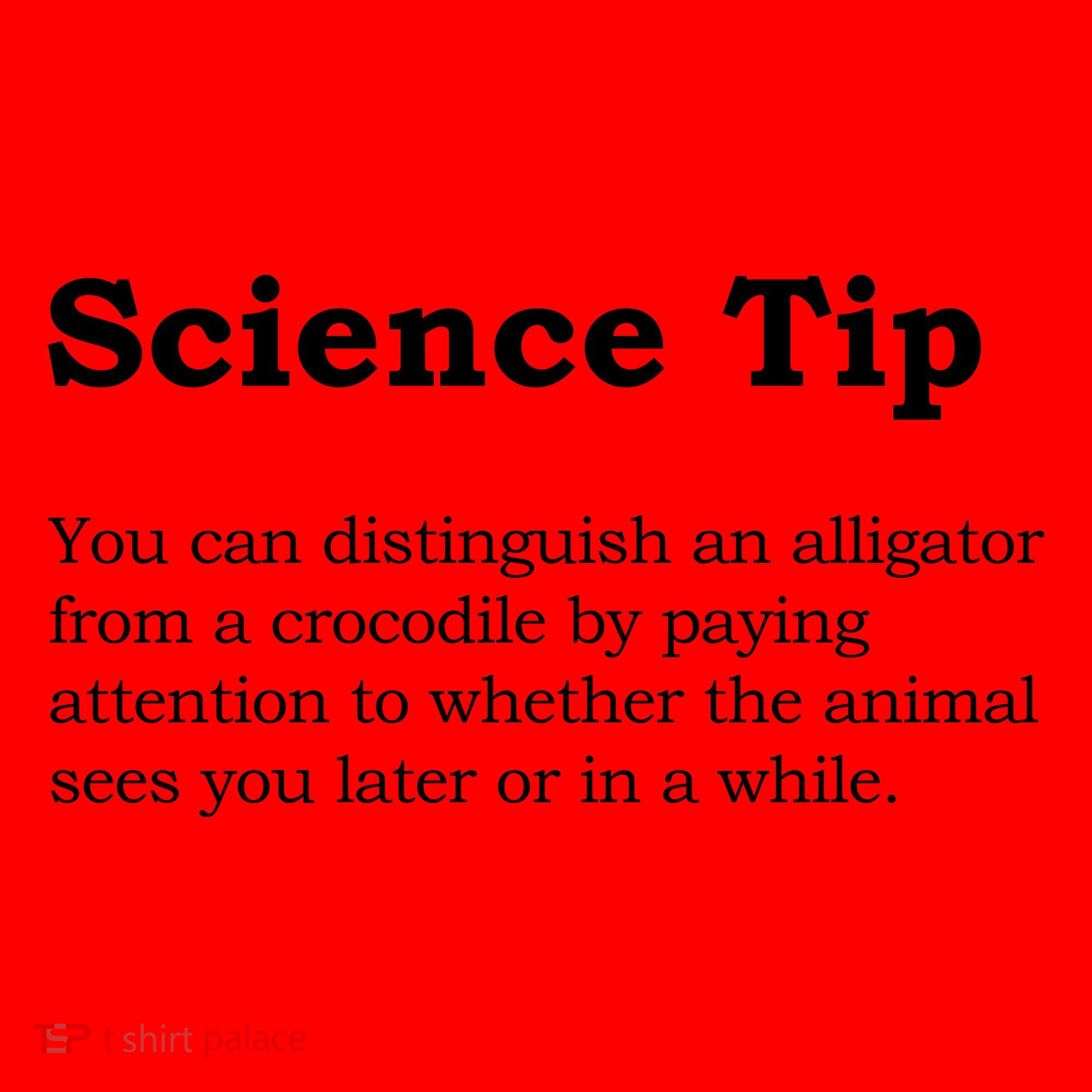 Crocodile Alligator Funny Science Tip Santa Hat
