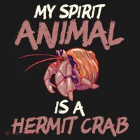 Cute And Funny My Spirit Animal Is A Hermit Crab Cool Gift Ornament thumb 1