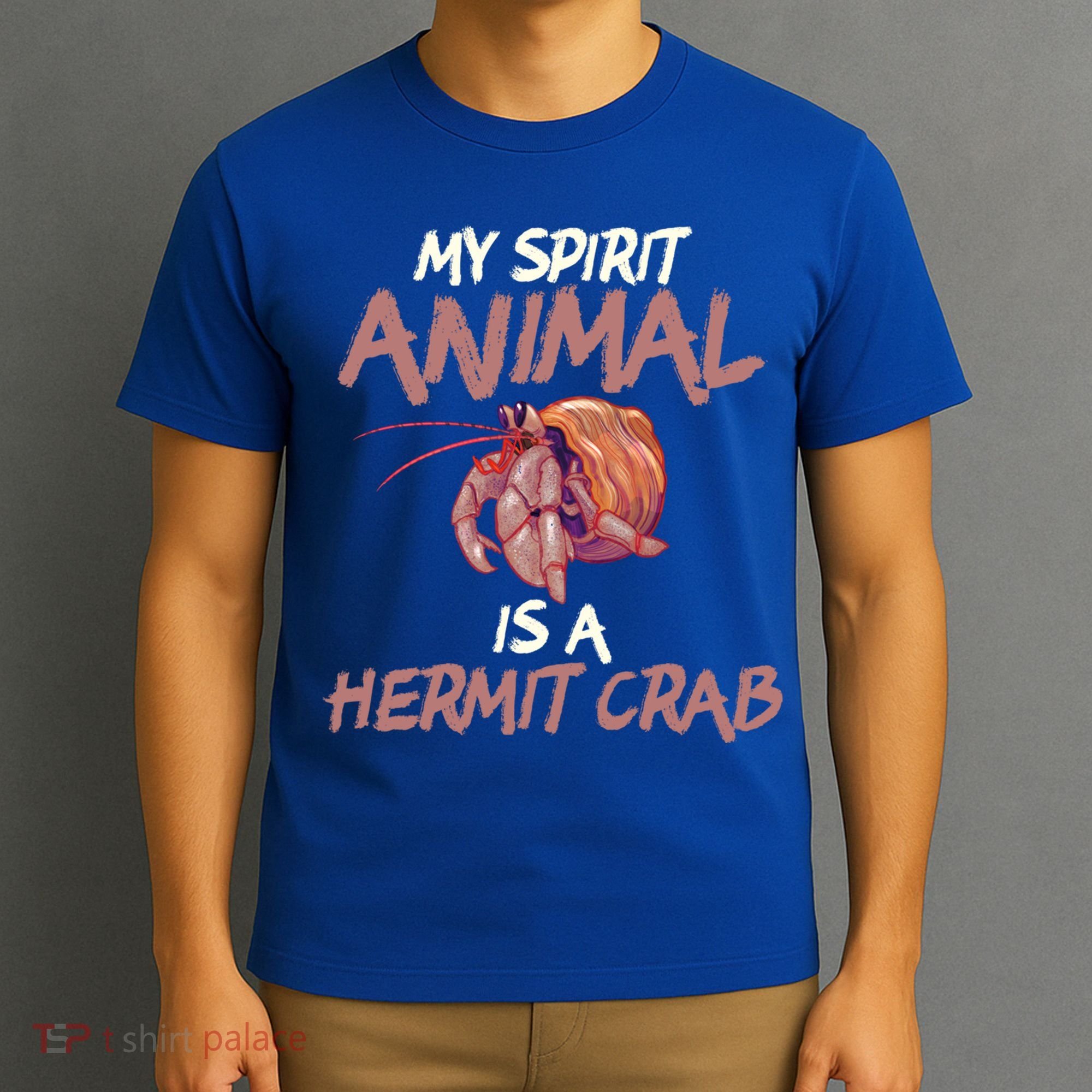 Cute And Funny My Spirit Animal Is A Hermit Crab Cool Gift T-Shirt