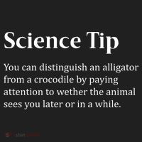 Crocodile Alligator Funny Science Tip Women's Sweatshirt thumb 2