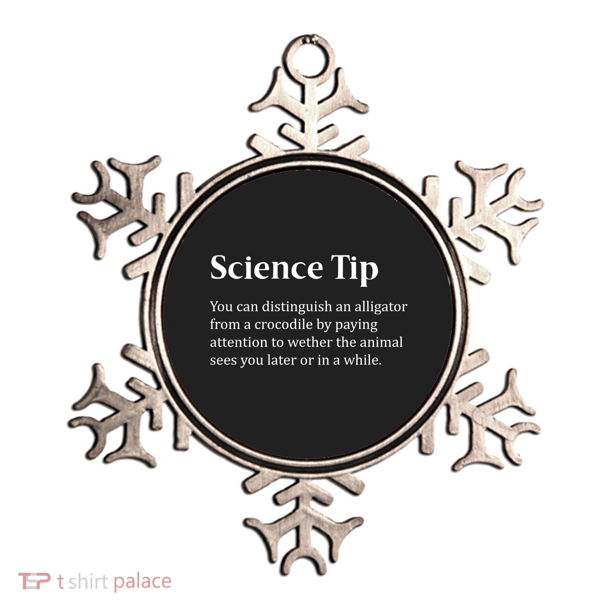 Crocodile Alligator Funny Science Tip Ornament