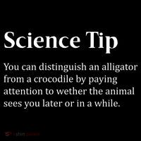 Crocodile Alligator Funny Science Tip Ornament thumb 1