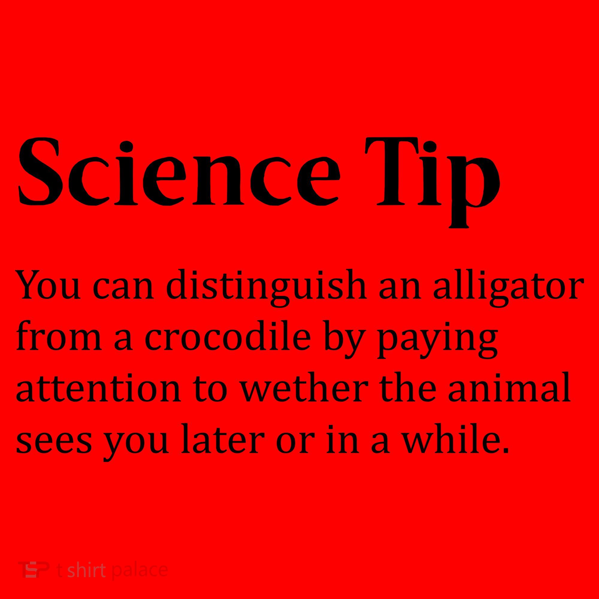 Crocodile Alligator Funny Science Tip Santa Hat
