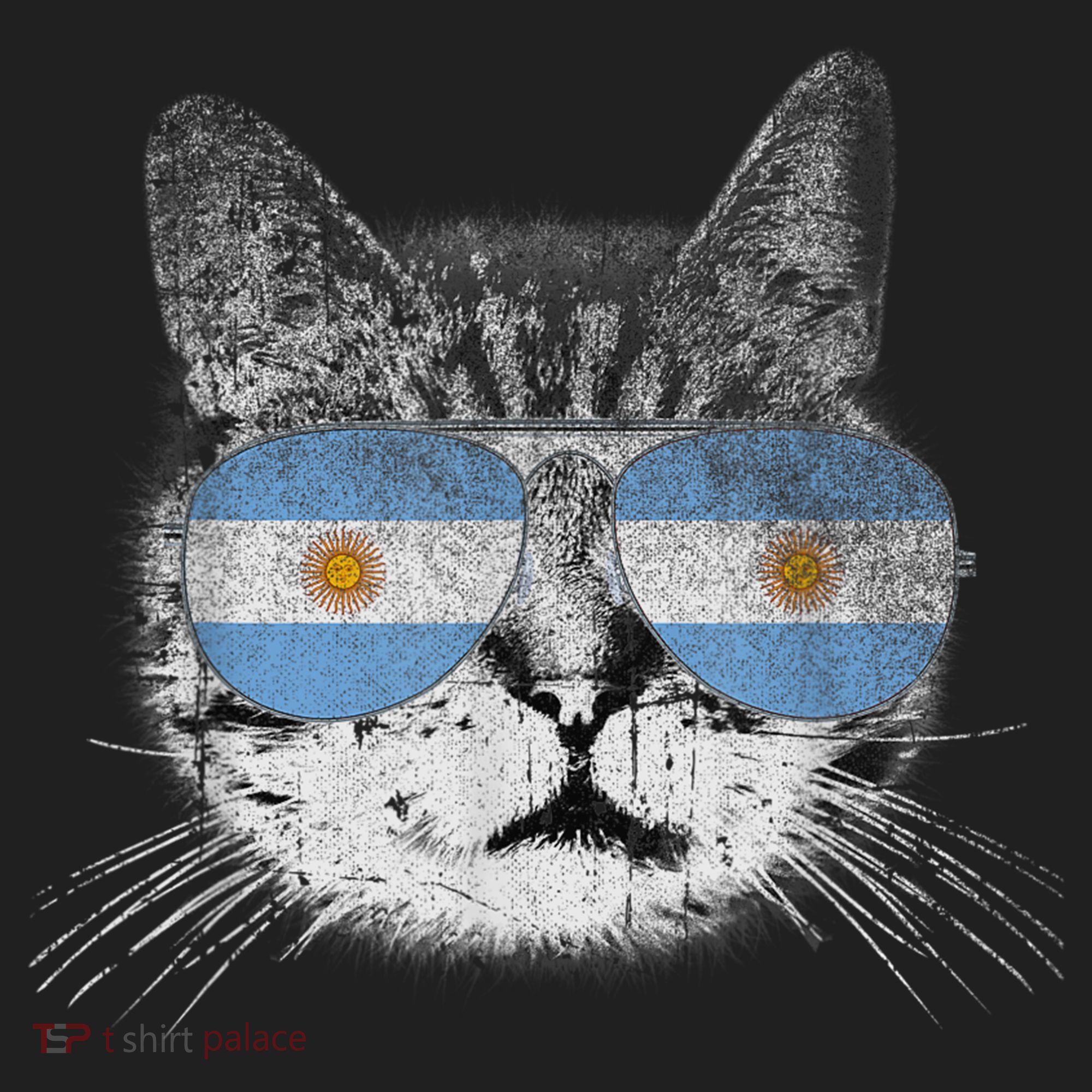 Cat Argentina Flag Country Retro Funny Gift Women's Sweatshirt