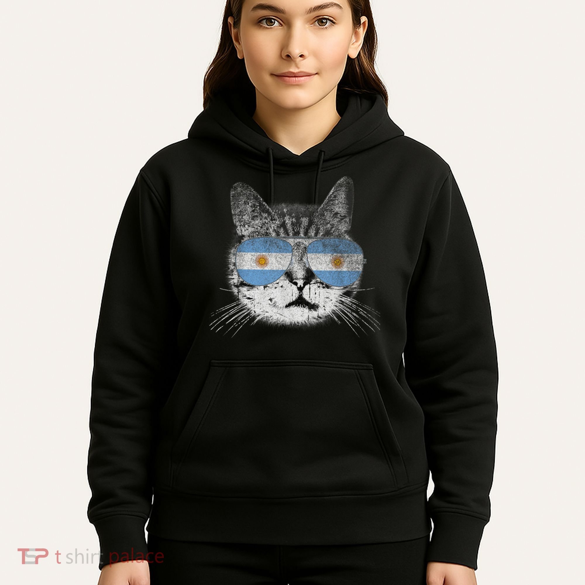 Cat Argentina Flag Country Retro Funny Gift Hoodie