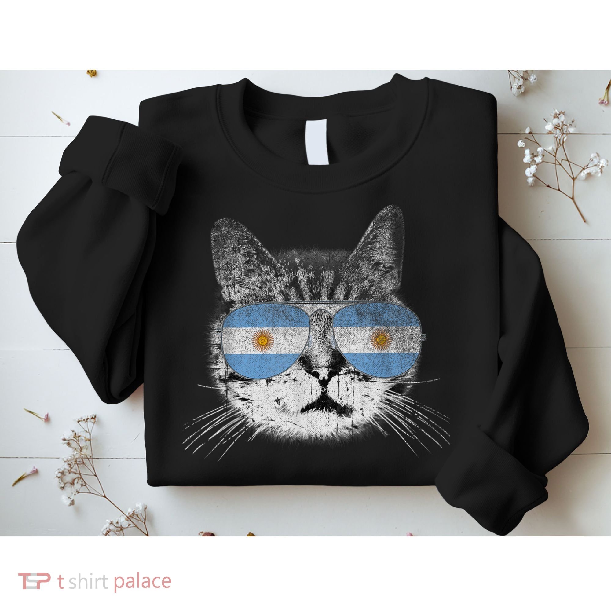 Cat Argentina Flag Country Retro Funny Gift Sweatshirt