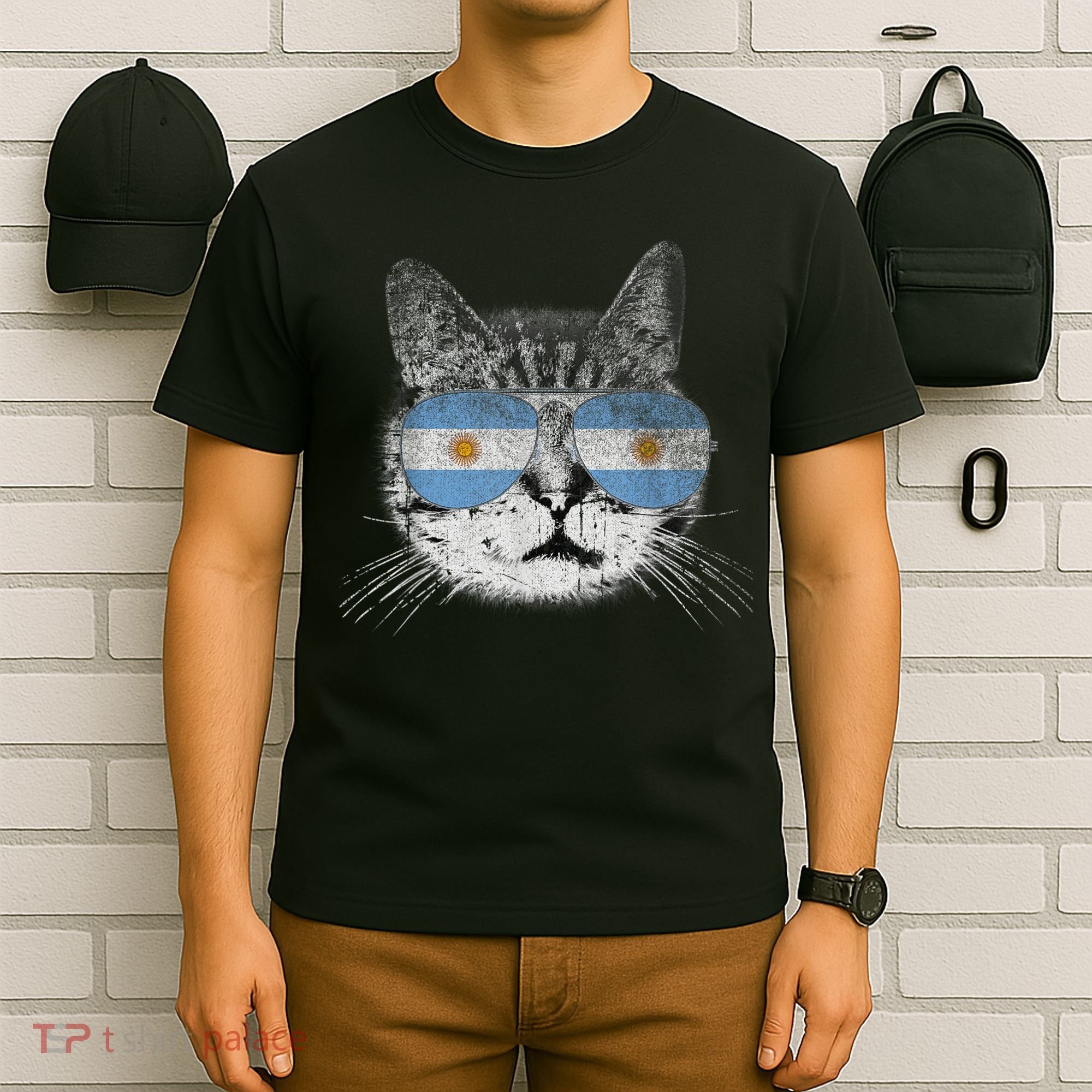Cat Argentina Flag Country Retro Funny Gift T-Shirt