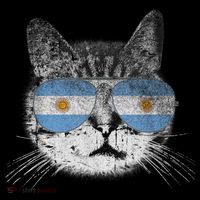 Cat Argentina Flag Country Retro Funny Gift Women's Hoodie thumb 2