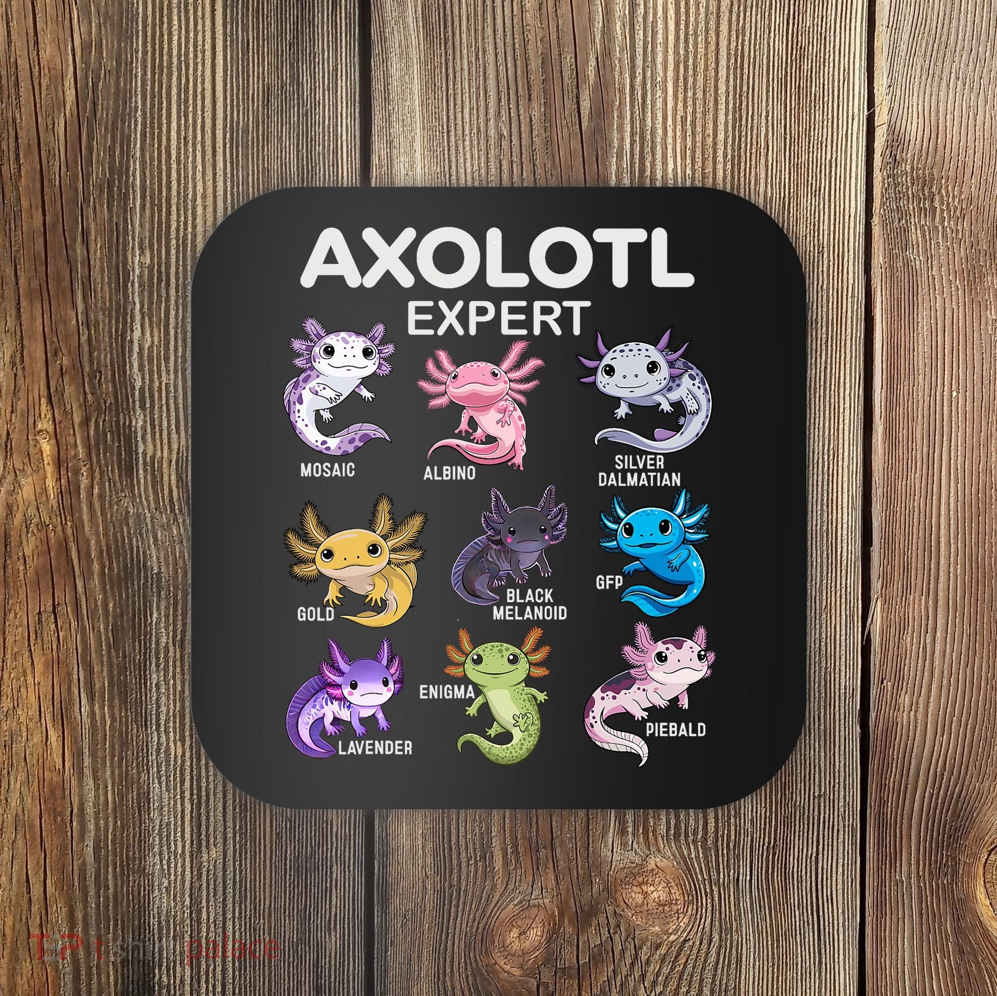 Cute Axolotl For & Or  - Axolotl Coaster