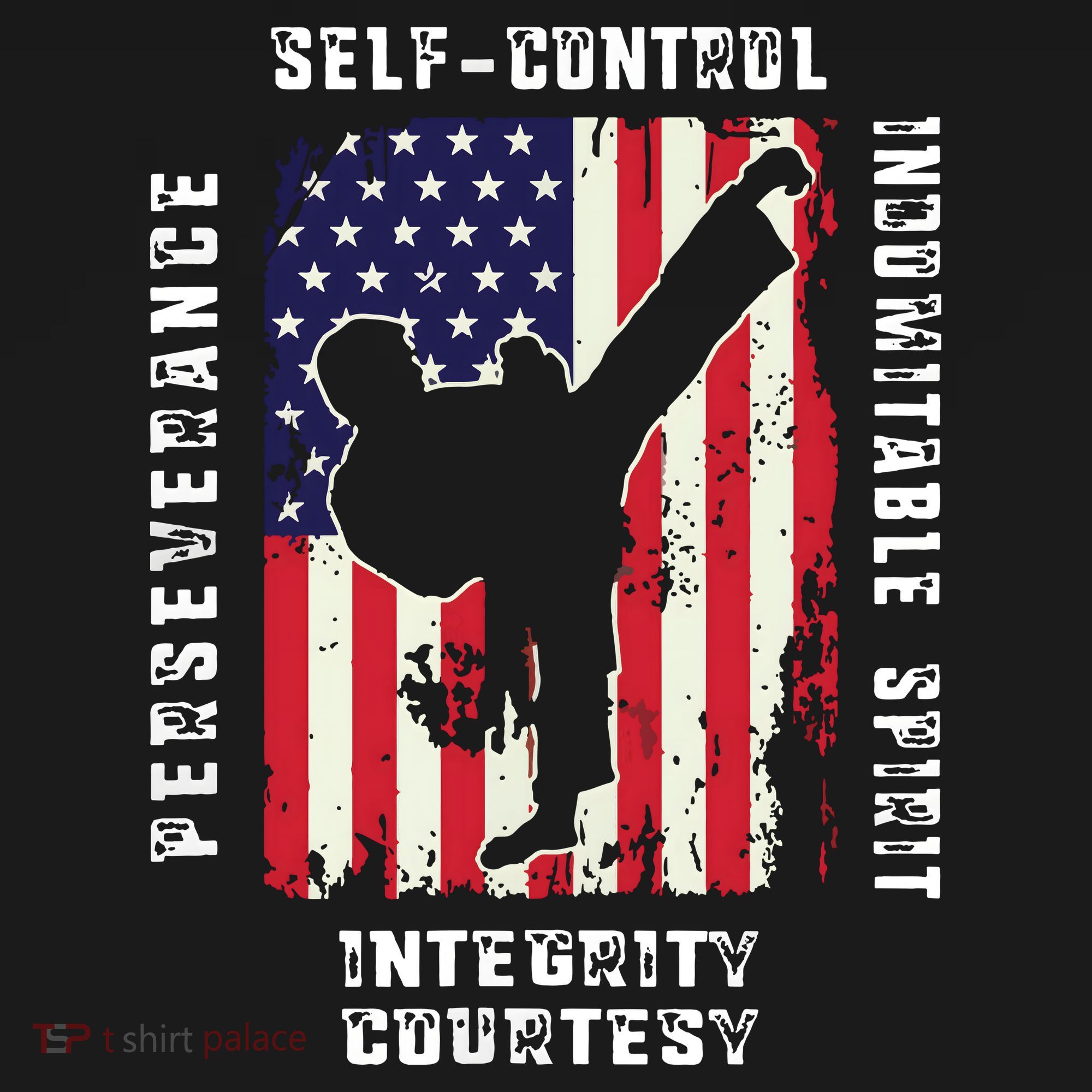 Cool American Flag Taekwondo Gift | Tae Kwon Do Martial Arts Ornament