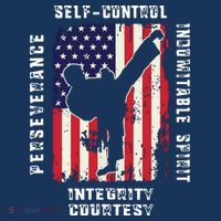 Cool American Flag Taekwondo Gift | Tae Kwon Do Martial Arts Sweatshirt thumb 3