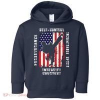 Cool American Flag Taekwondo Gift | Tae Kwon Do Martial Arts Toddler Hoodie thumb 0