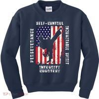 Cool American Flag Taekwondo Gift | Tae Kwon Do Martial Arts Kids Sweatshirt thumb 0