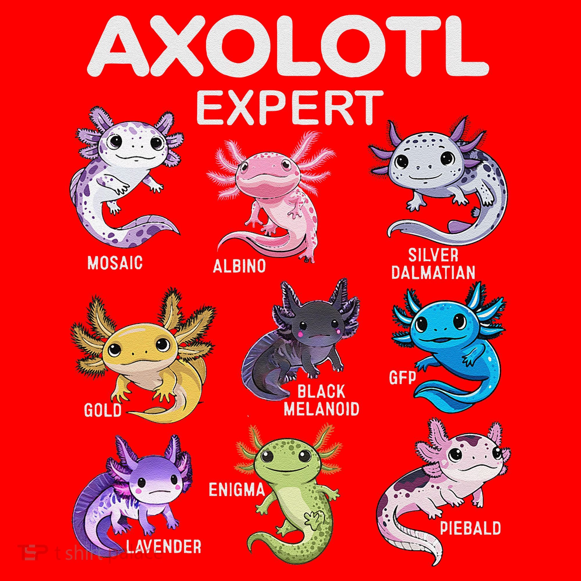 Cute Axolotl Girl Axolotl Gift Santa Hat