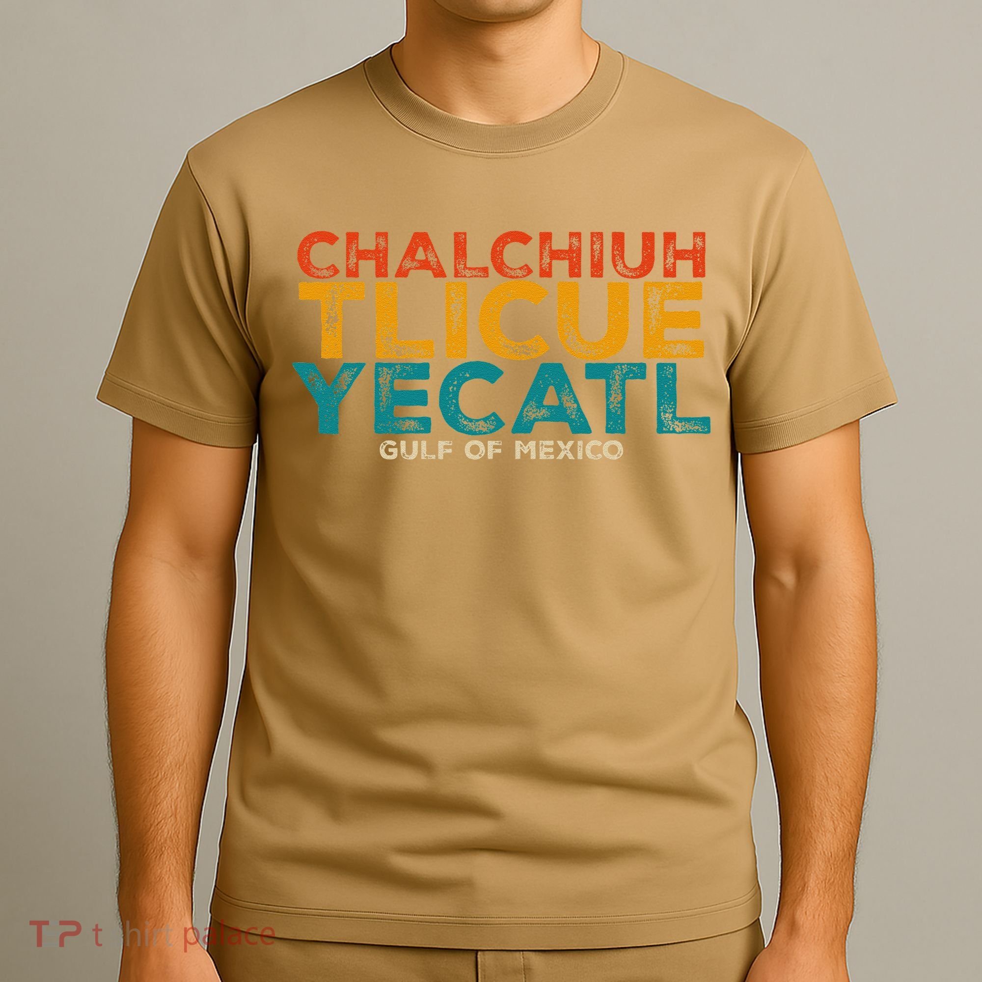 Chalchiuhtlicueyecatl Aztec Indian Gulf Of Mexico Since 1672 T-Shirt