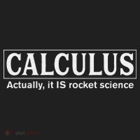 Calculus Actually It Is Rocket Science Math Student Teacher Tumbler thumb 3