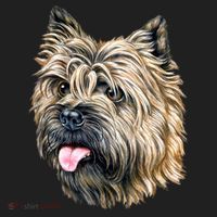 Cairn Terrier Hat thumb 2