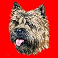 Cairn Terrier Santa Hat thumb 1