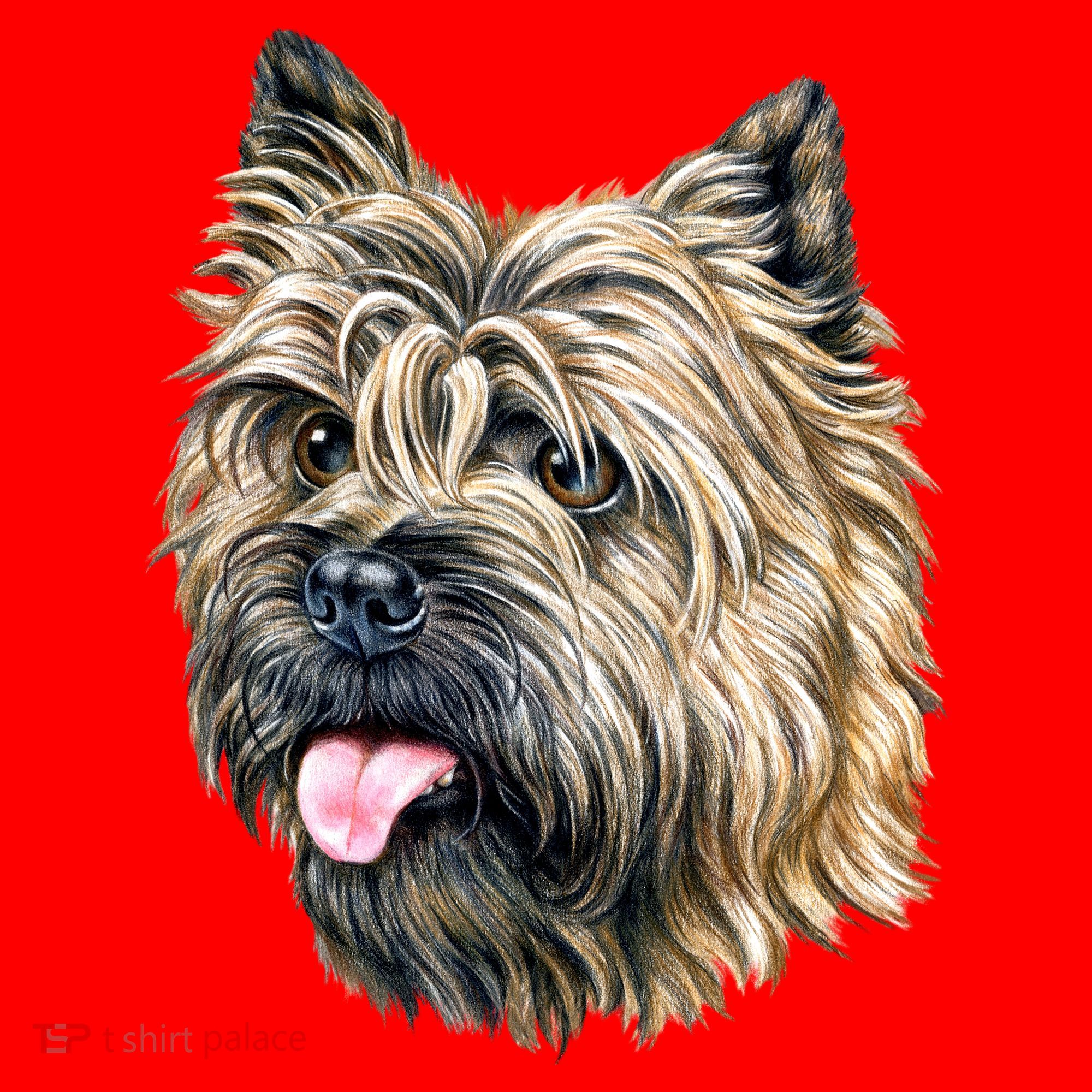 Cairn Terrier Santa Hat