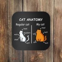 Cat Anatomy Kittlen Lover Funny Science Teacher Coaster thumb 0