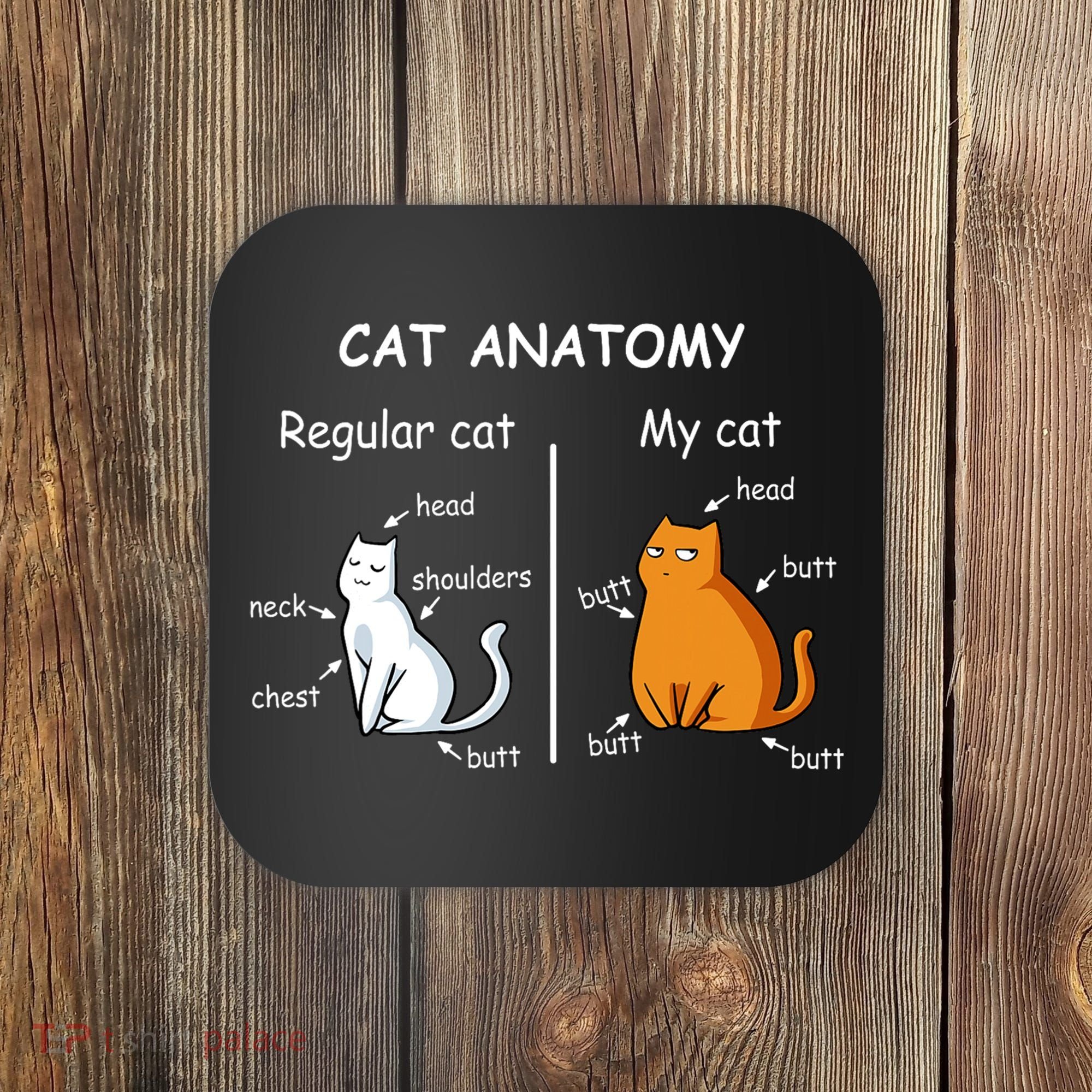 Cat Anatomy Kittlen Lover Funny Science Teacher Coaster