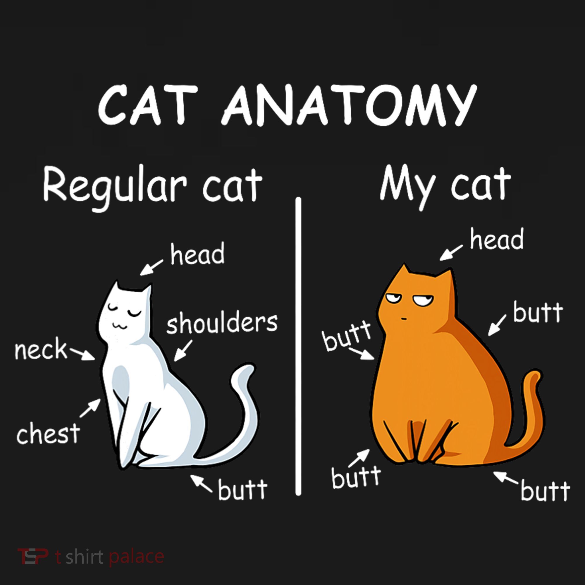 Cat Anatomy Kittlen Lover Funny Science Teacher Women's Tank Top