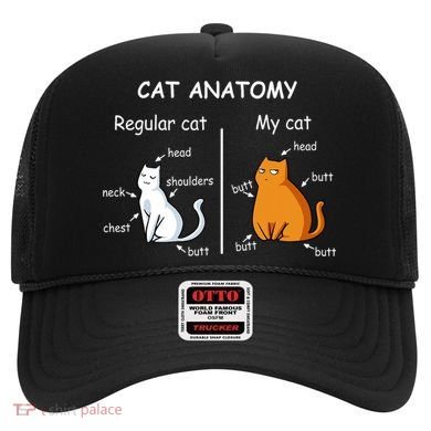Cat Anatomy Kittlen Lover Funny Science Teacher Hat