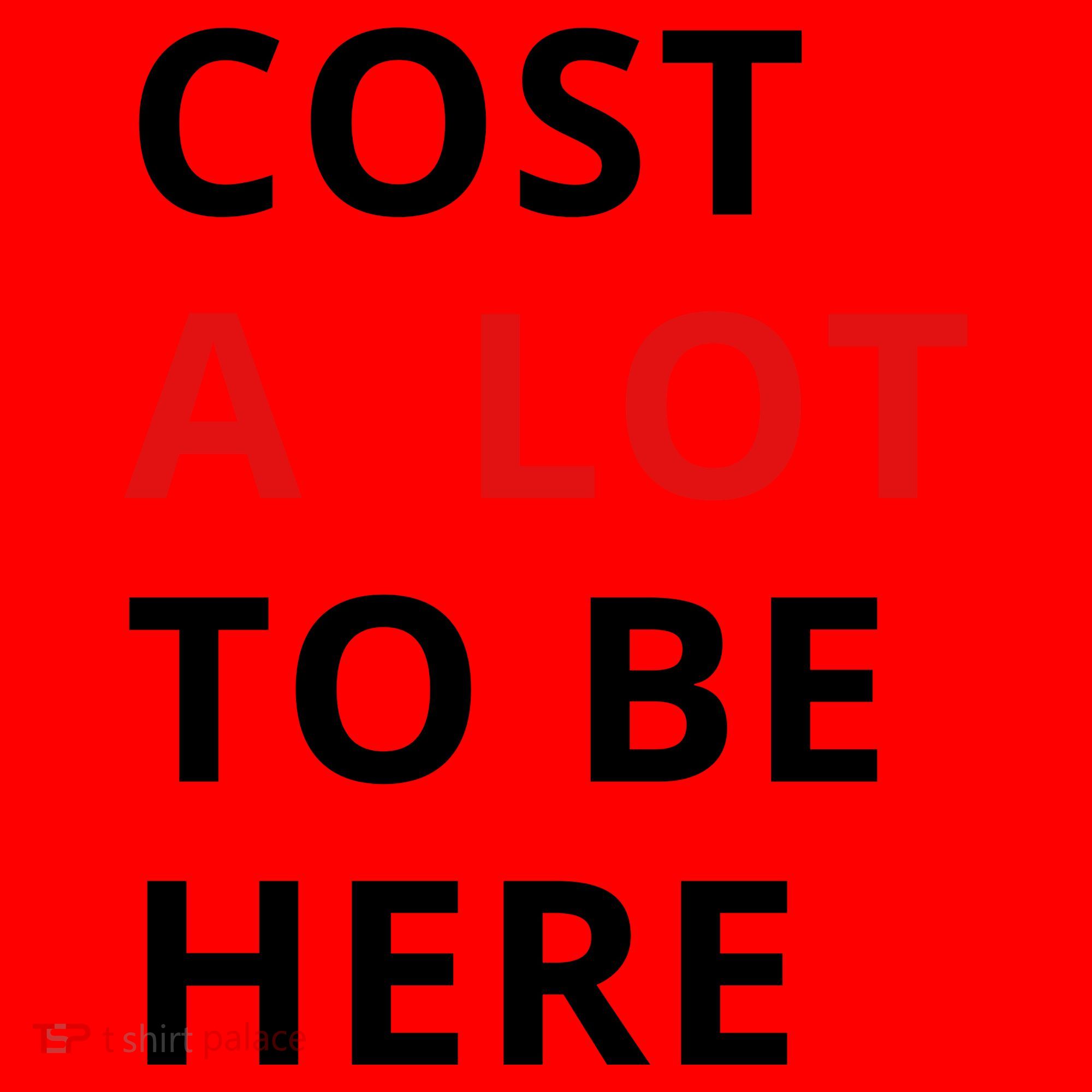 Cost A Lot To Be Here Santa Hat