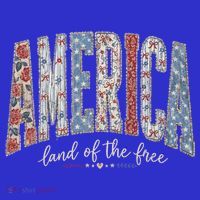 Cute America Land Of The Free Patchwork Varsity Style Visor thumb 3
