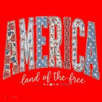 Cute America Land Of The Free Patchwork Varsity Style Santa Hat thumb 1