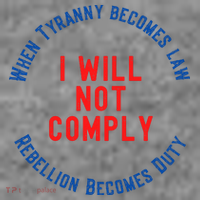 I Will Not Comply MAGA Conservative Anti Biden Toddler Hoodie thumb 2