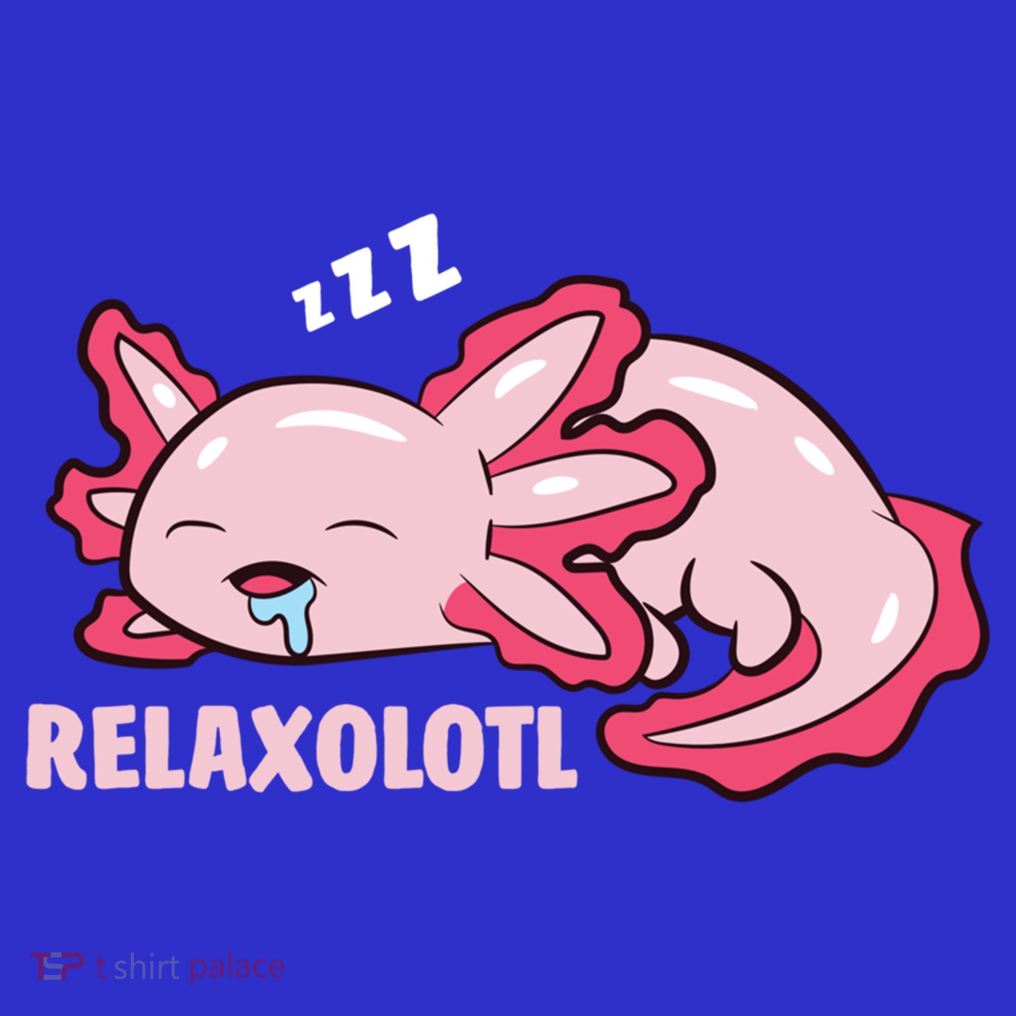 Cute Axolotl Lover Mexican Salamander Relaxolotl Gift Kids Long Sleeve Shirt