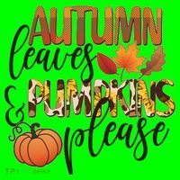 Cute Autumn Leaves And Pumpkins Please Coaster thumb 2