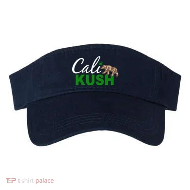 Visor