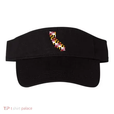 Visor