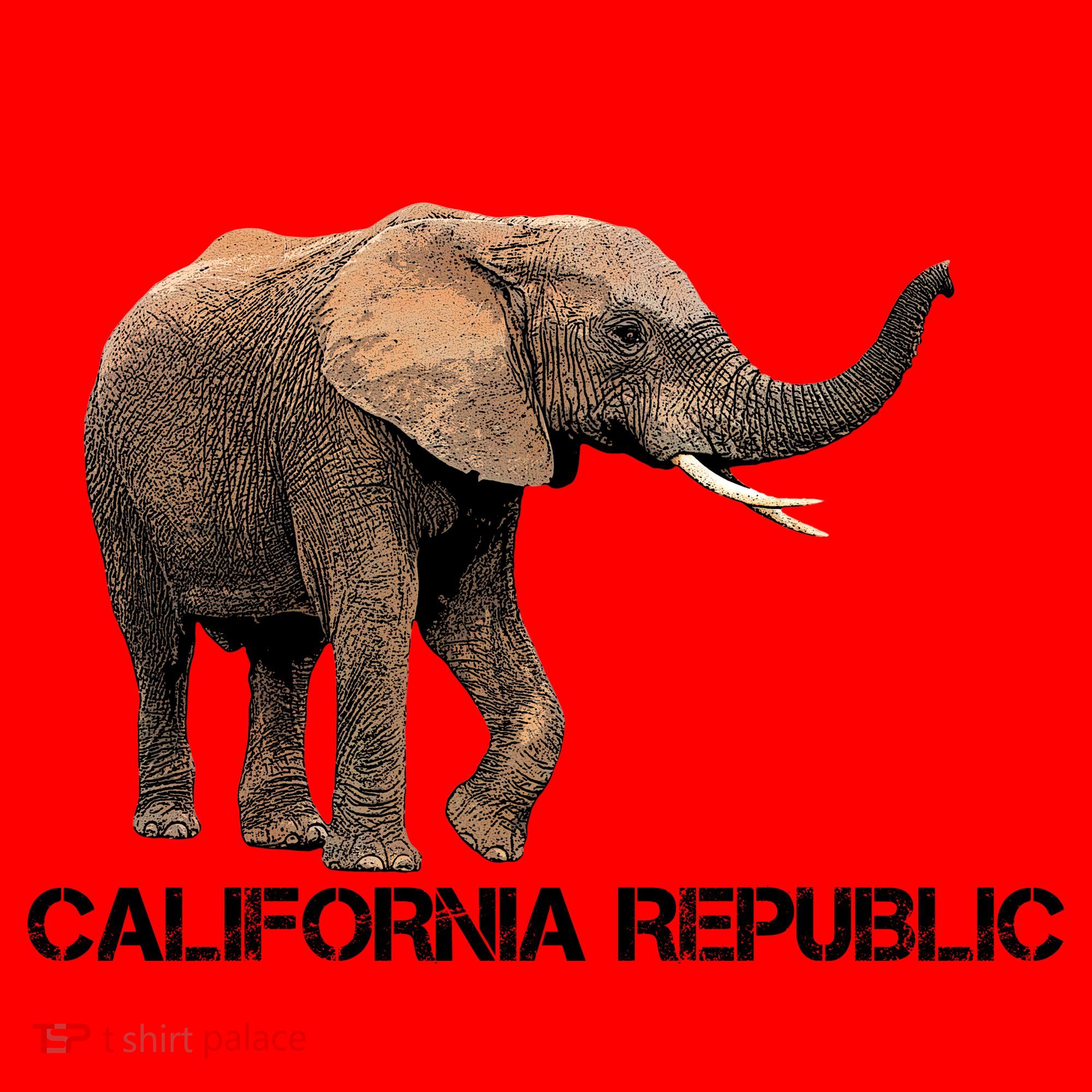 California Republic Elephant  Santa Hat