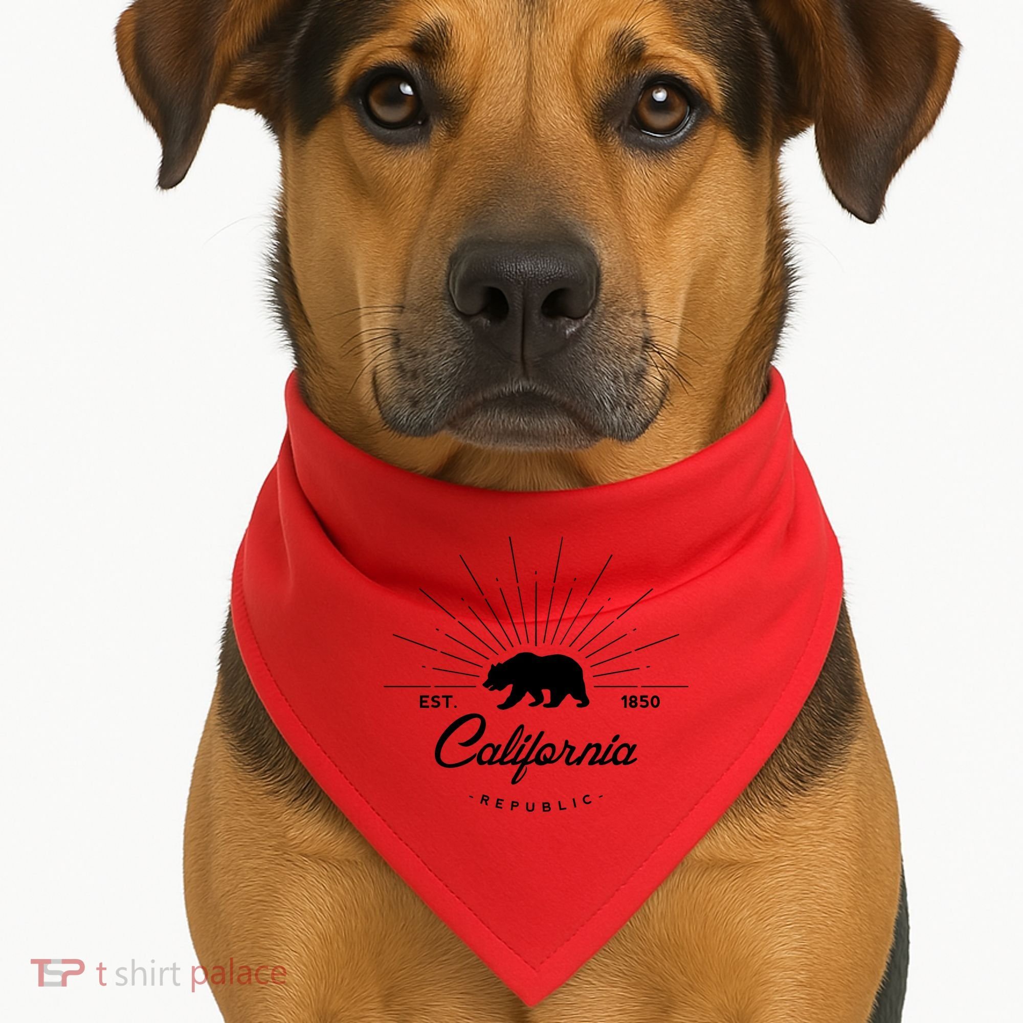 California Republic EST  USA-Made Doggie Bandana