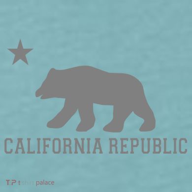 California Republic Grey Style Sueded Cloud Jersey T-Shirt