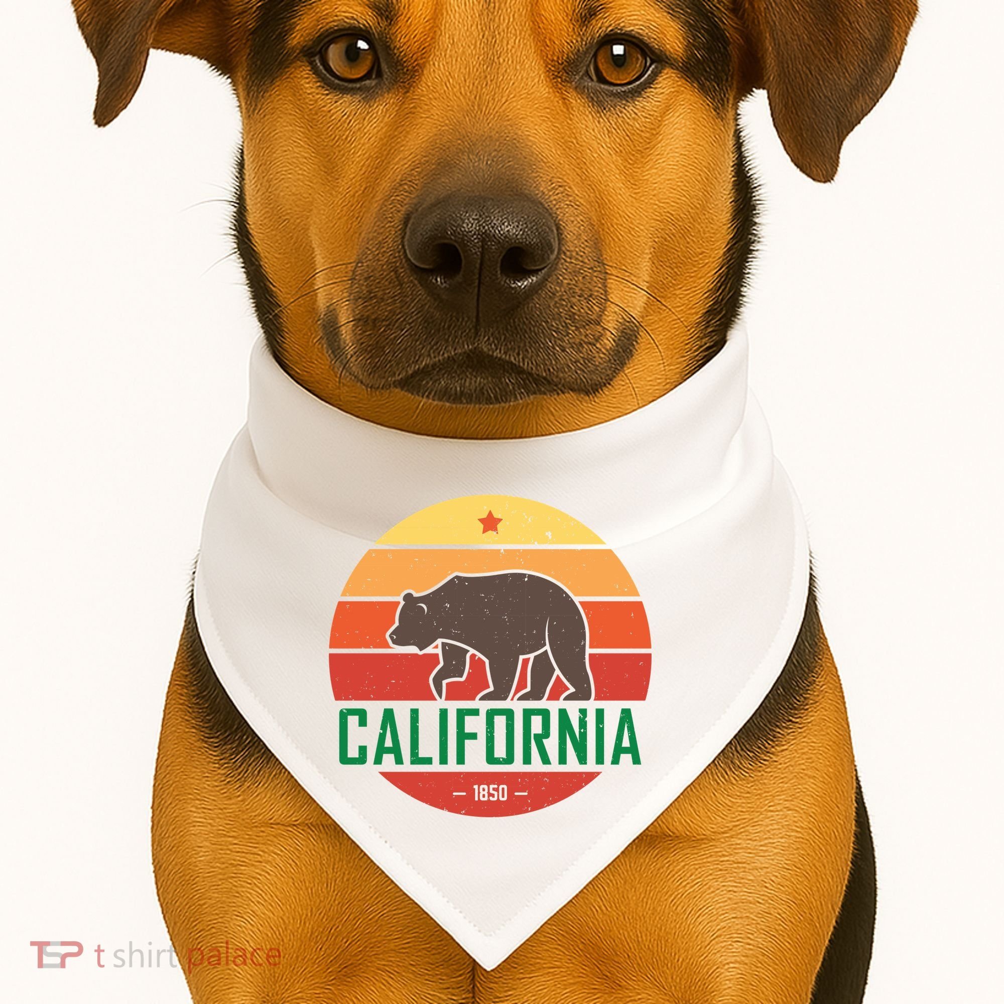 California Retro Circle USA-Made Doggie Bandana