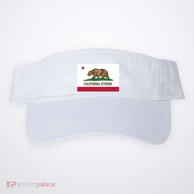 Visor