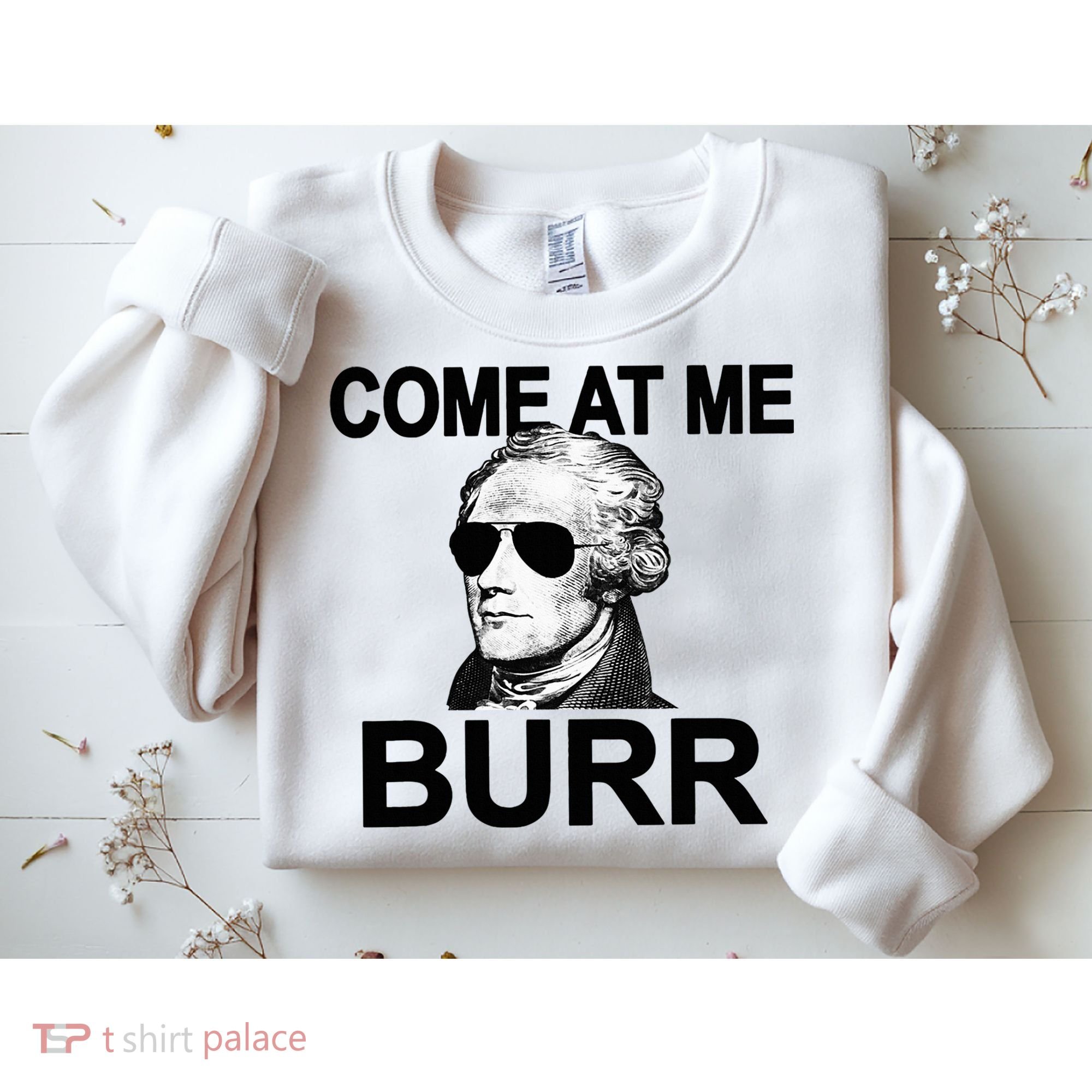 Come At Me Burr Funny History Alexander Hamilton Sweatshirt
