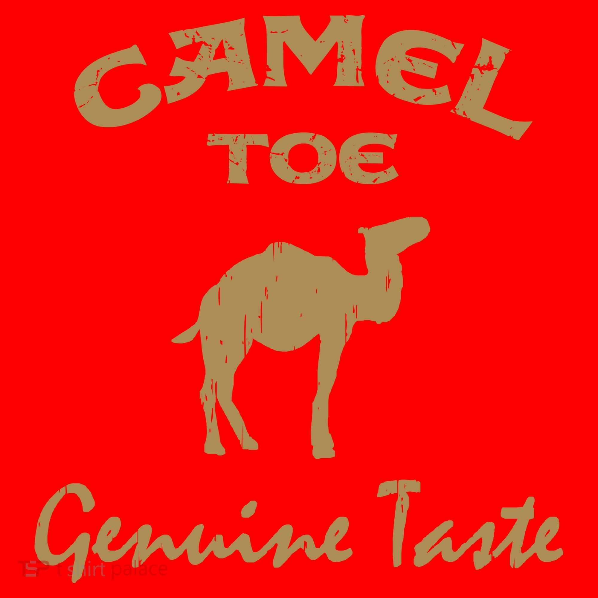 Camel Toe Genuine Taste Funny Santa Hat