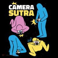 Camera Sutra Ornament thumb 1