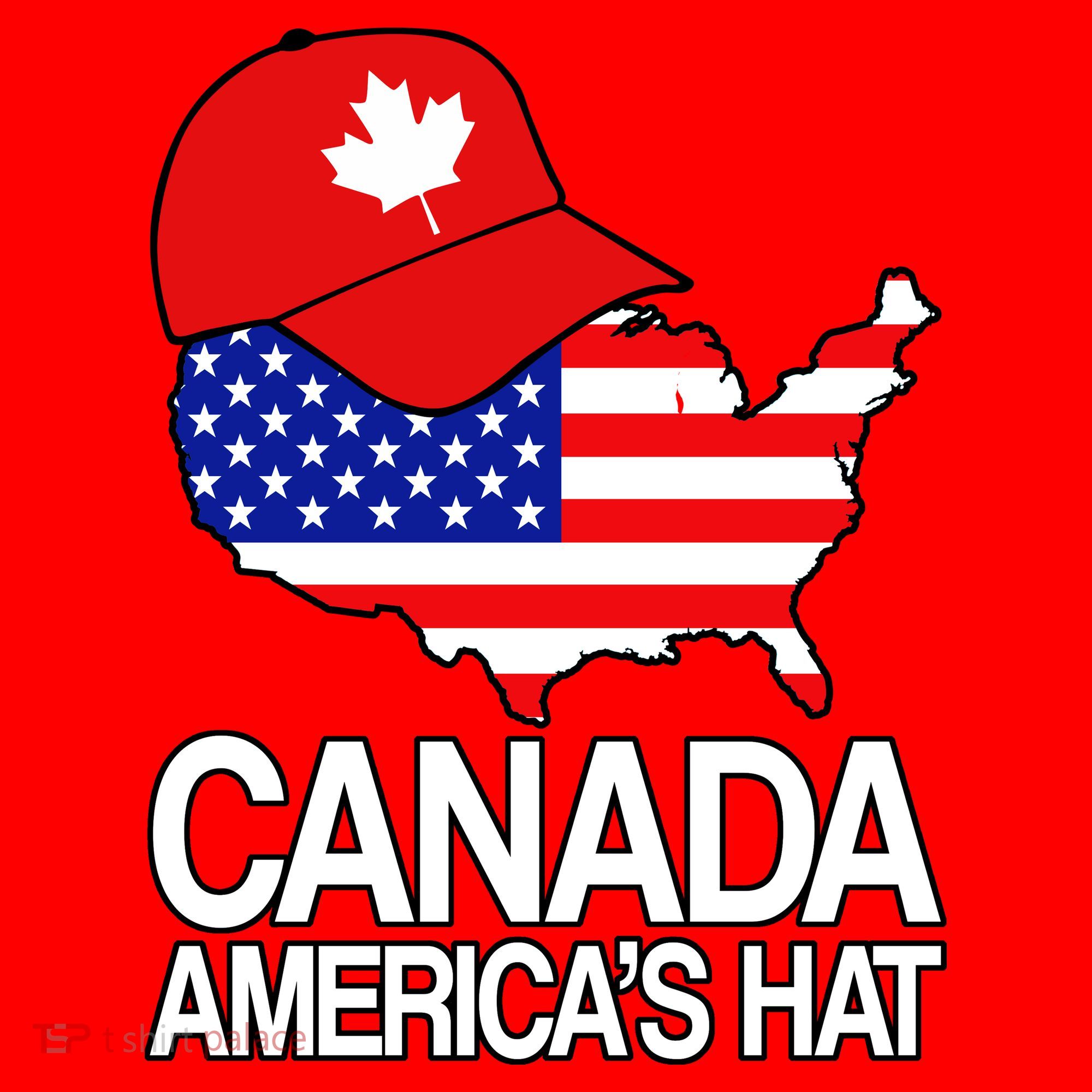 Canada America's Hat Santa Hat