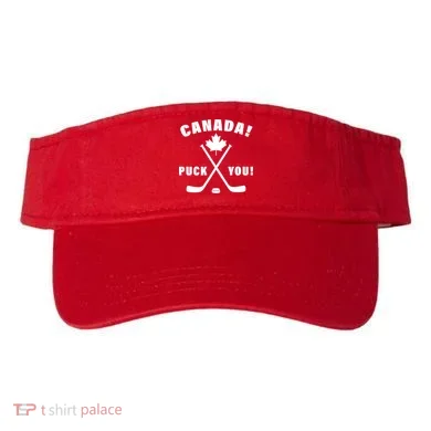 Visor