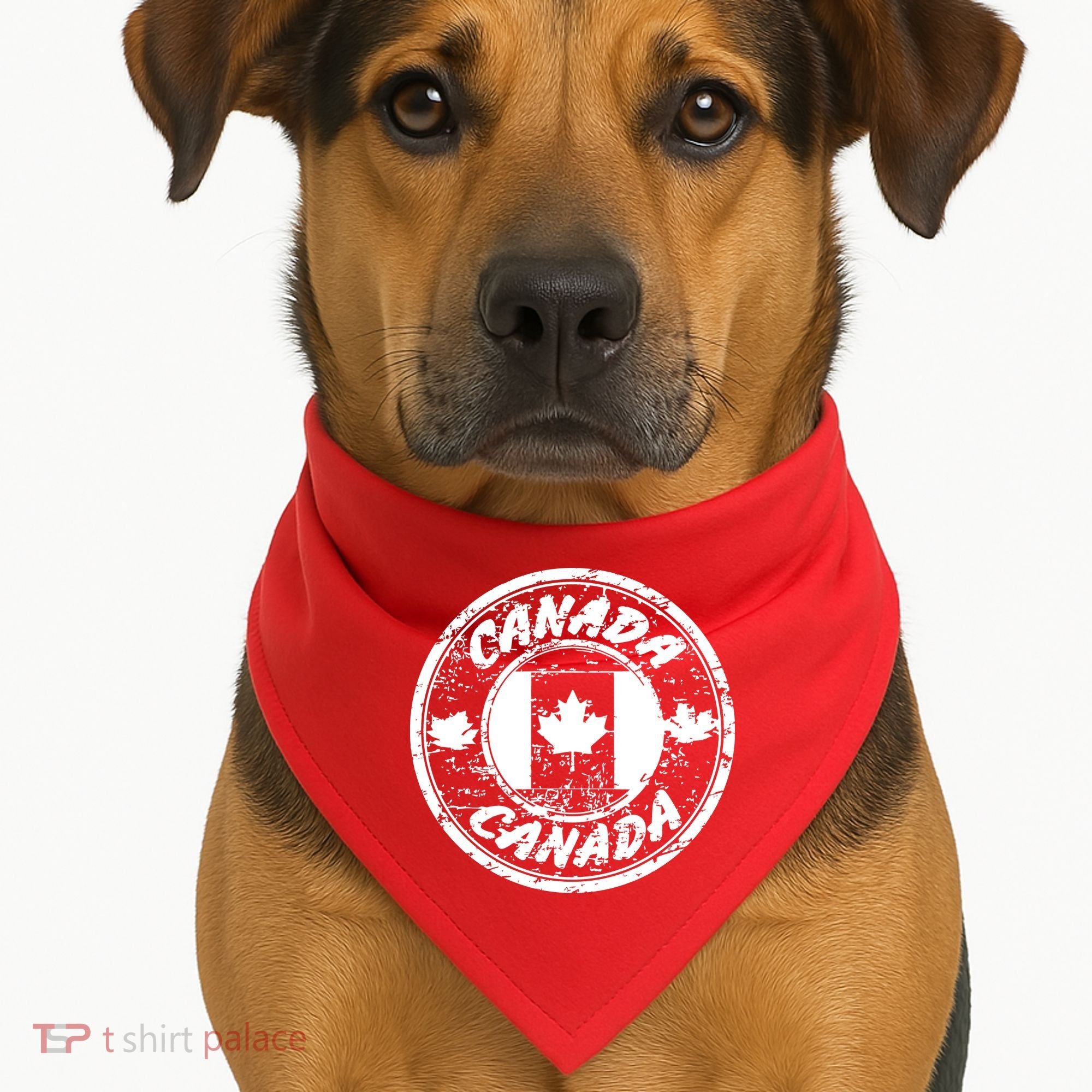 Canada Retro Circle USA-Made Doggie Bandana