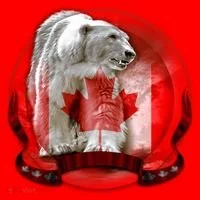Canadian Polar Bear Wildlife Toddler Hoodie thumb 2