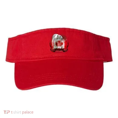 Visor