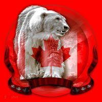 Canadian Polar Bear Wildlife Women's Long Sleeve Shirt thumb 2
